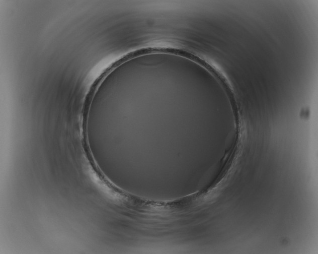 X0000110990935200906191424