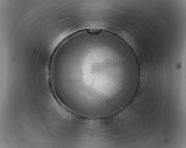 X0000110990936200906191424