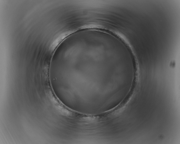 X0000110990937200906191424