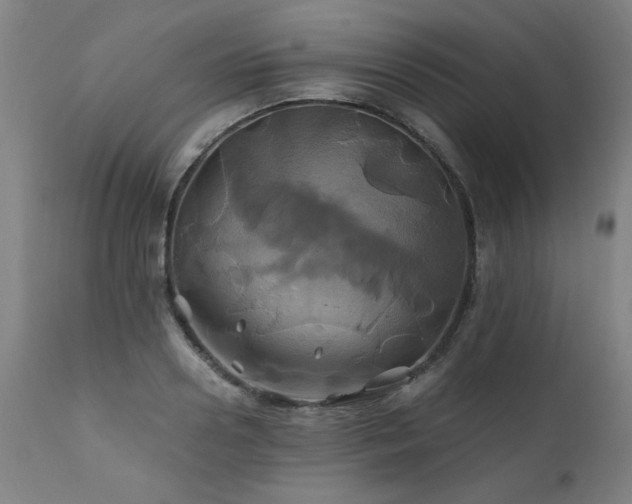 X0000110990938200906191424