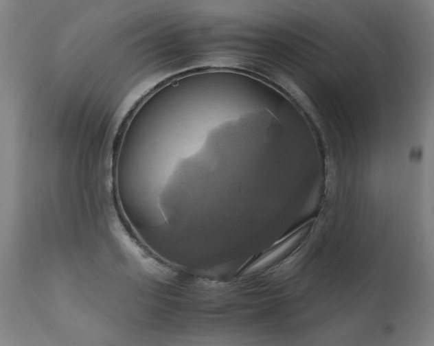 X0000110990939200906191424