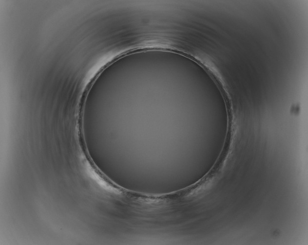 X0000110990941200906191424