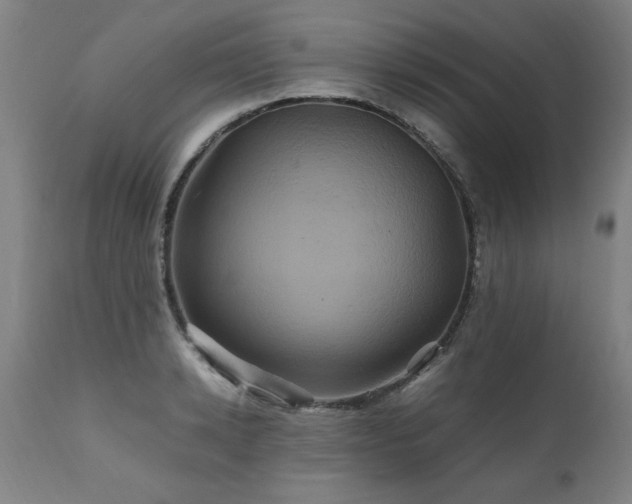 X0000110990942200906191424