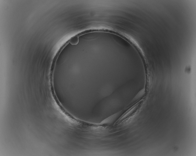 X0000110990943200906191424