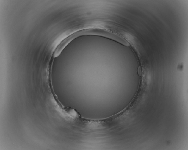 X0000110990944200906191424