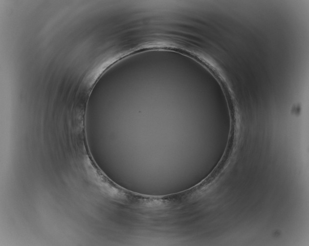 X0000110990945200906191424