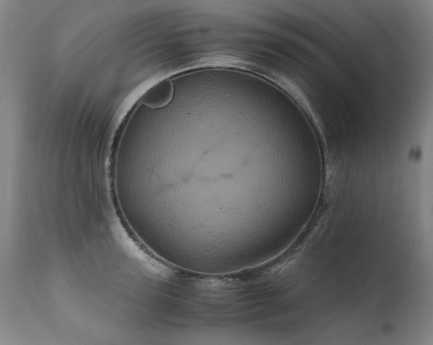 X0000110990947200906191424