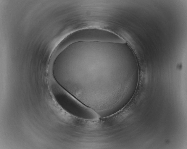 X0000110990948200906191424