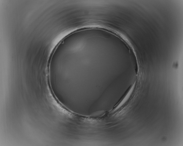 X0000110990951200906191424
