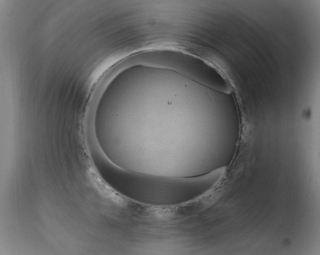 X0000110990952200906191424