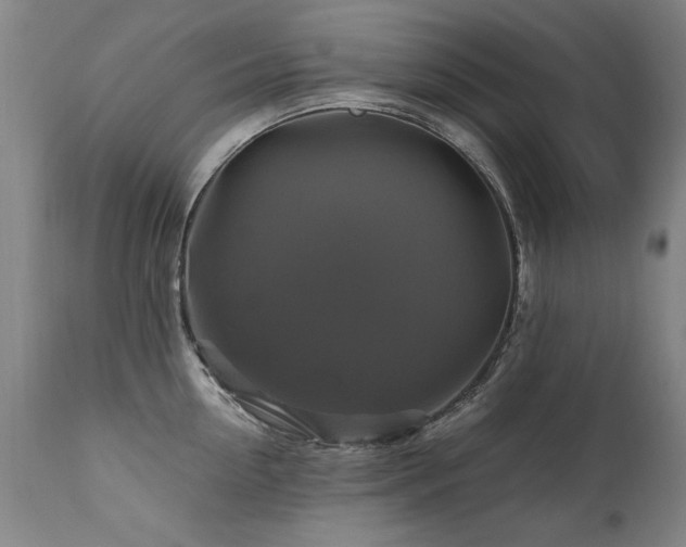 X0000110990954200906191424