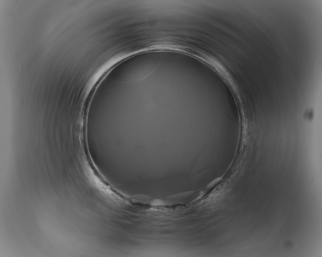 X0000110990955200906191424