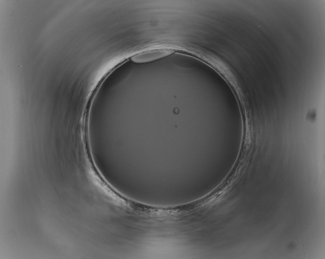 X0000110990958200906191424