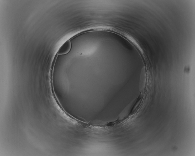 X0000110990959200906191424