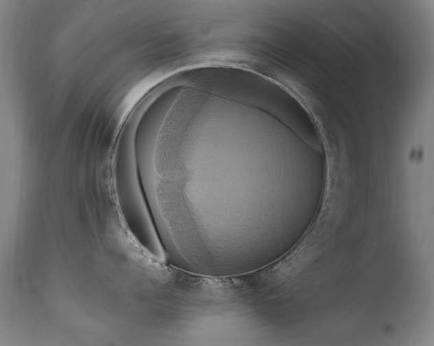 X0000110990960200906191424