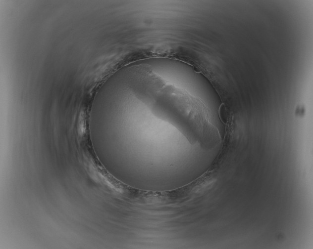 X0000110990962200906191423