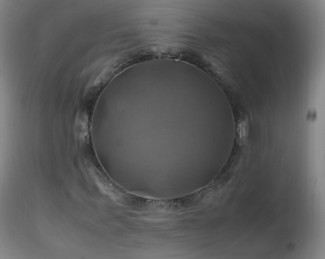 X0000110990963200906191423
