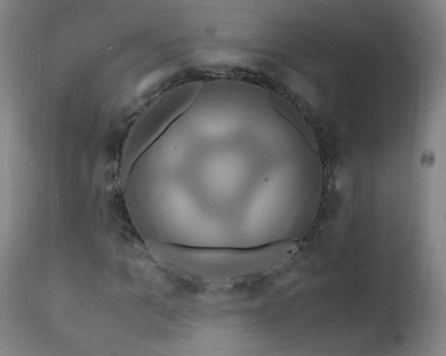 X0000110990965200906191423