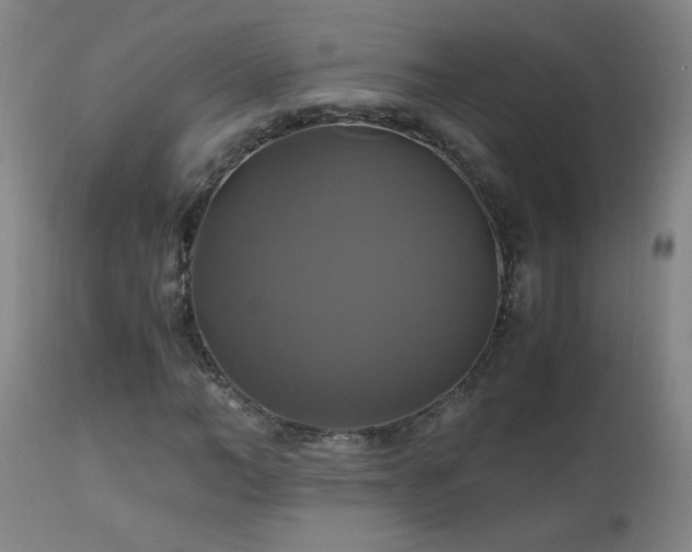 X0000110990966200906191423