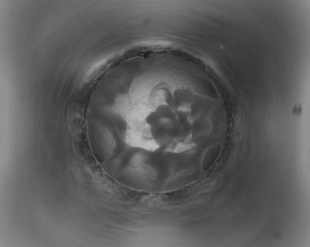 X0000110990967200906191423
