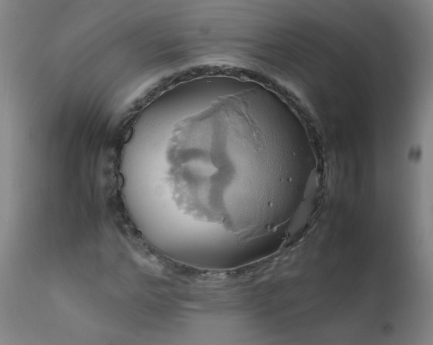 X0000110990968200906191423