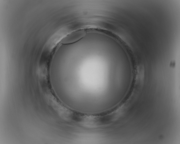X0000110990969200906191423