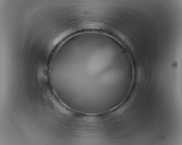X0000110990970200906191423