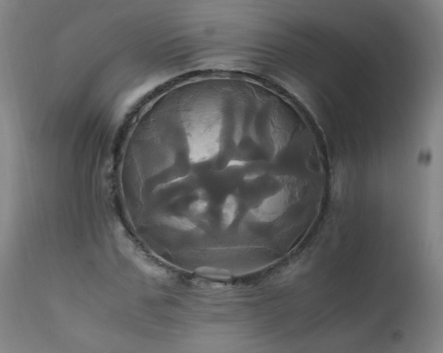 X0000110990971200906191423