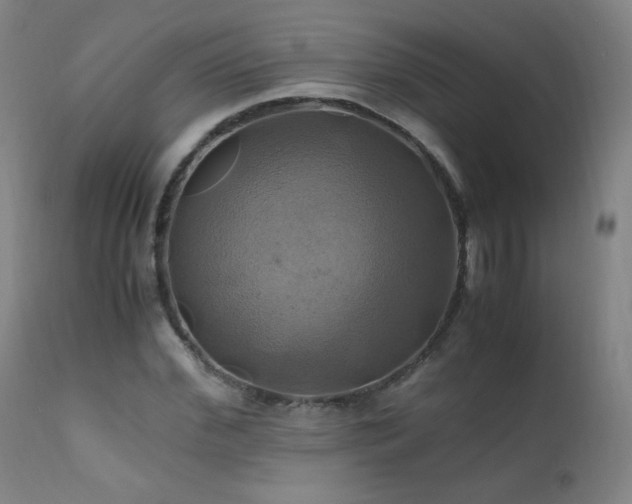 X0000110990972200906191423