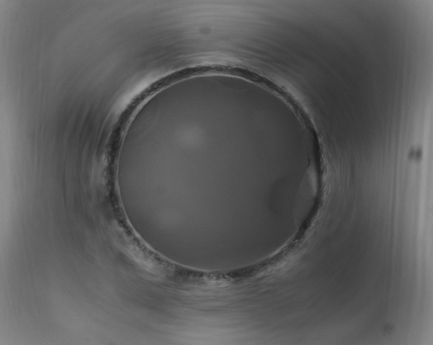 X0000110990975200906191423