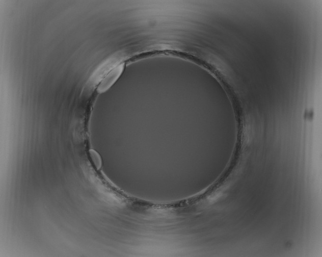 X0000110990977200906191423