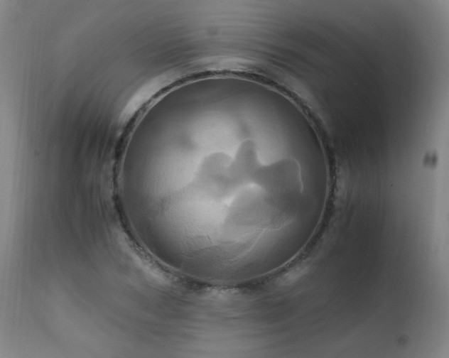 X0000110990978200906191423