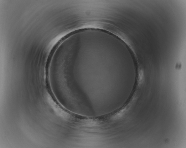 X0000110990980200906191423