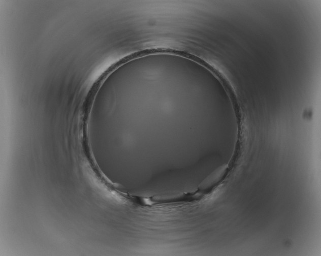 X0000110990983200906191423