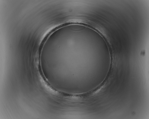 X0000110990984200906191423