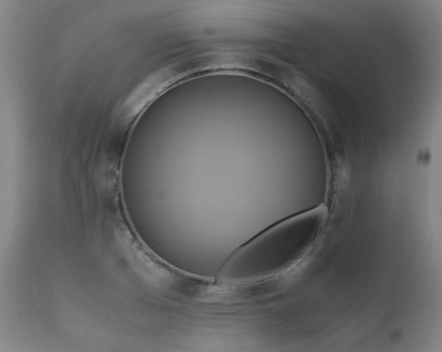 X0000110990985200906191423