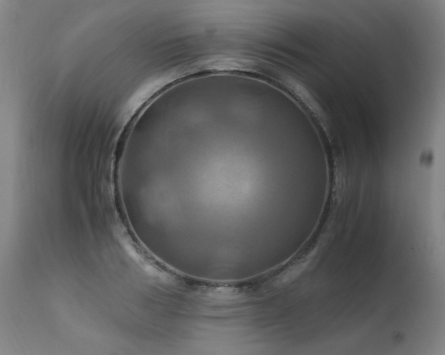 X0000110990986200906191423