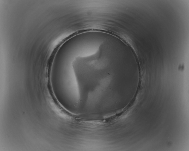 X0000110990987200906191423