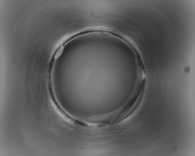 X0000110990989200906191423