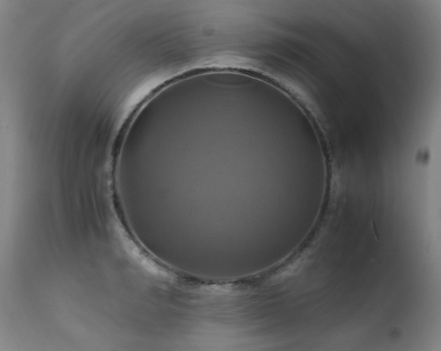 X0000110990990200906191423