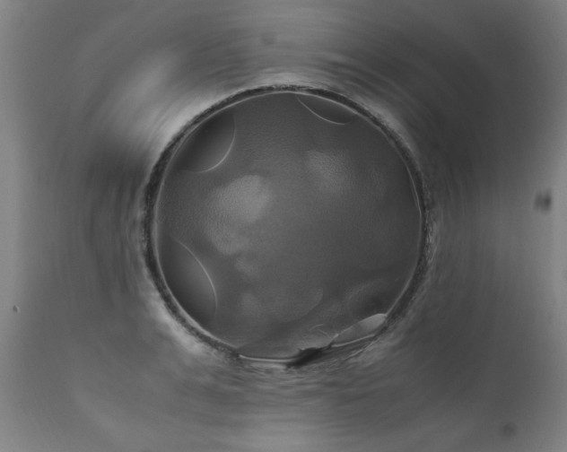 X0000110990991200906191423