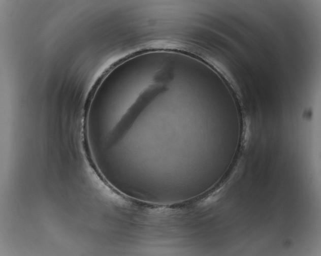 X0000110990992200906191423