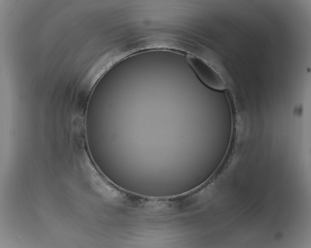 X0000110990993200906191423