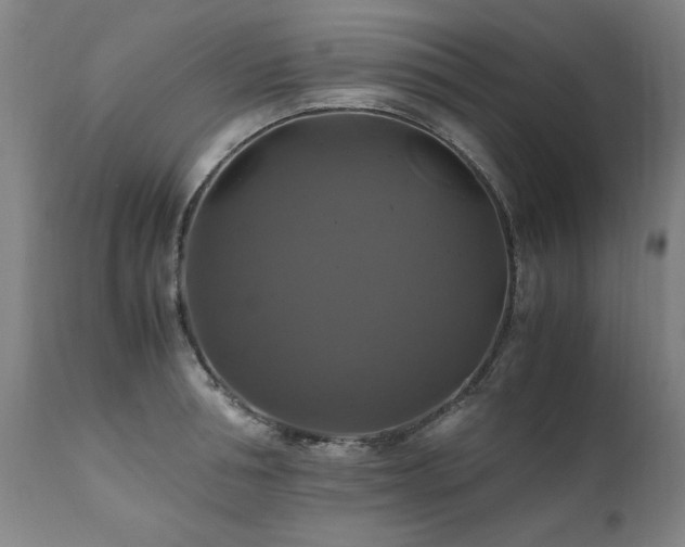 X0000110990994200906191423