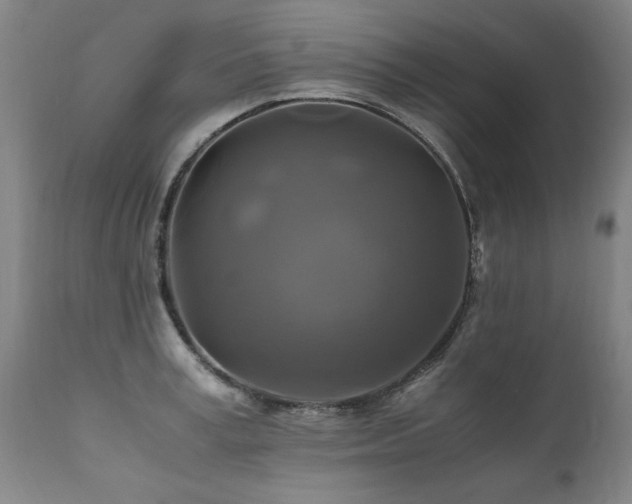X0000110990995200906191423