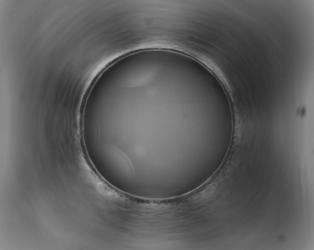 X0000110990996200906191423