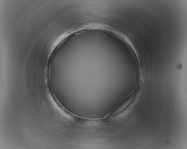 X0000110990997200906191423