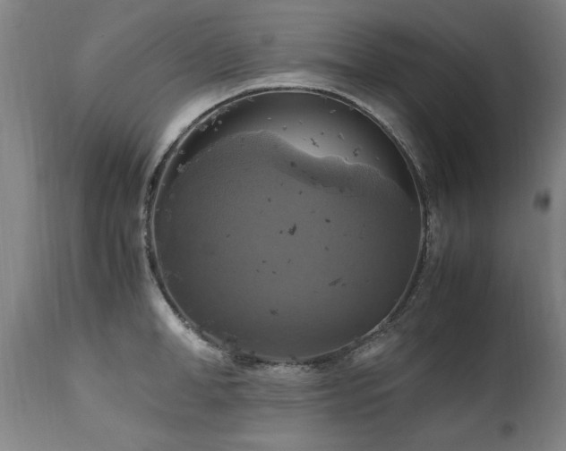X0000110990998200906191423