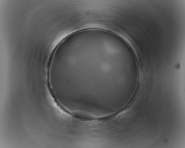 X0000110990999200906191423