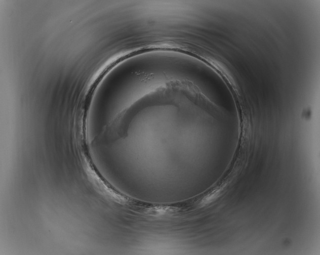 X0000110991000200906191423